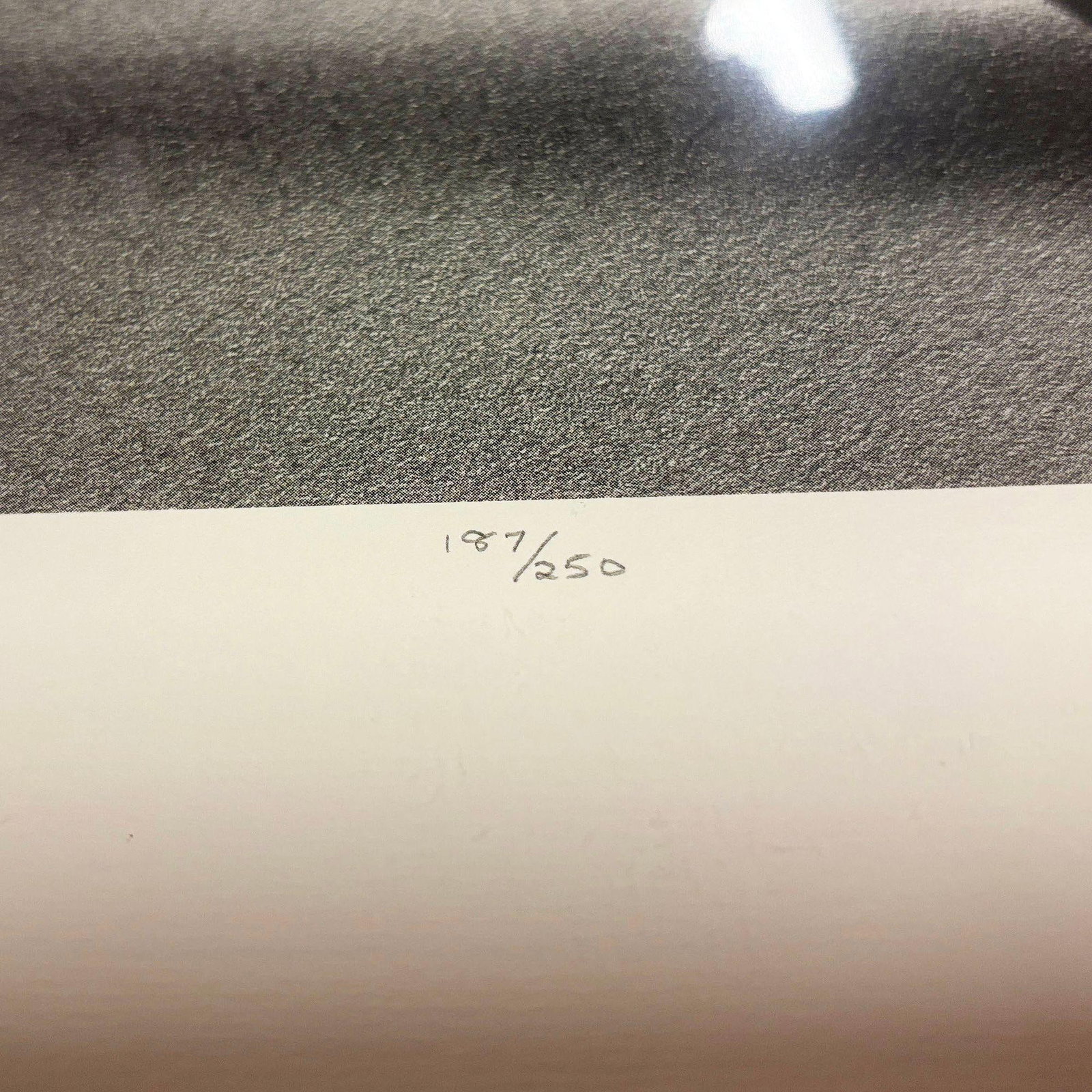 Martha Alf "Apple" Still Life Lithograph Print Limited Edition Signed (187/250) - 5