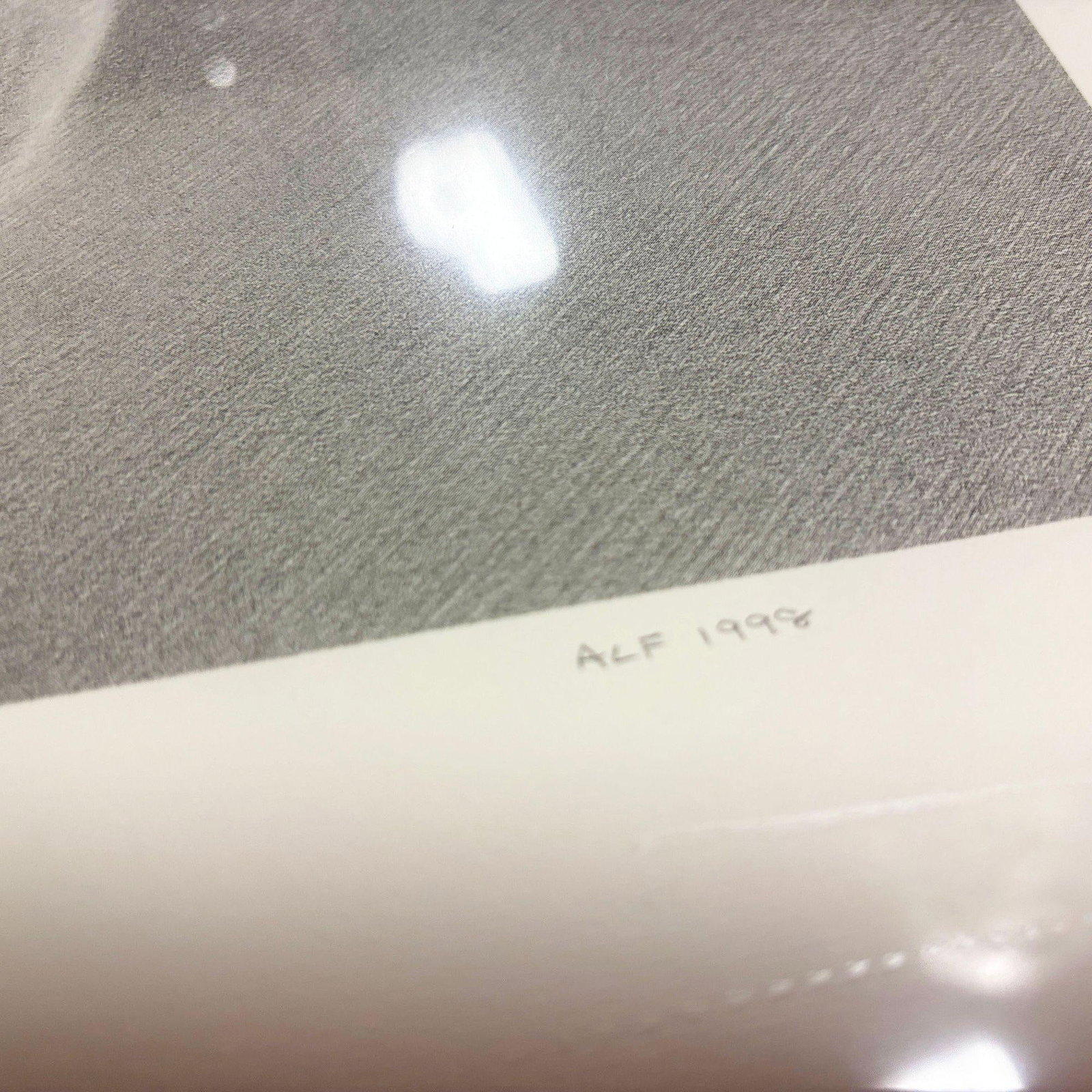 Martha Alf "Apple" Still Life Lithograph Print Limited Edition Signed (187/250) - 6