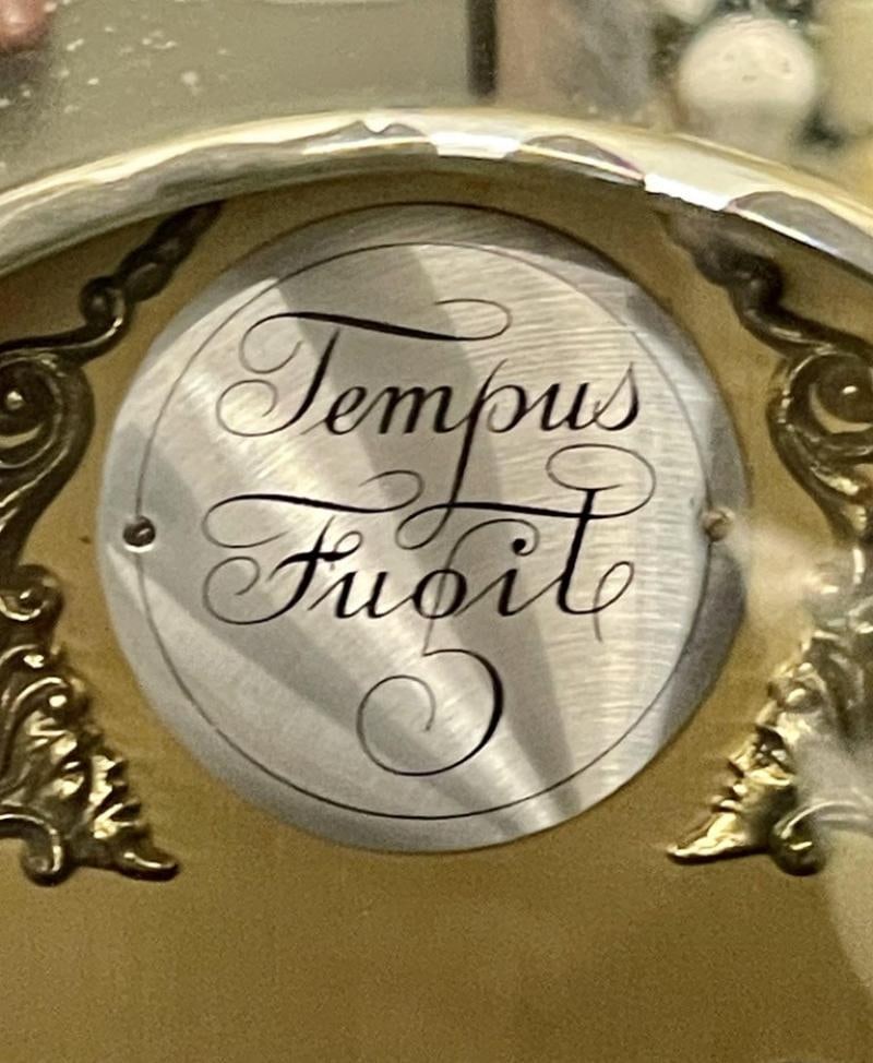 Venetian Etched Glass Tall Case Grandfather Clock, Giltwood, Tempus Fugit - 2