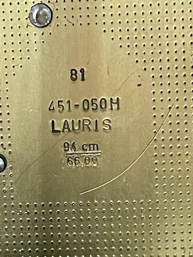 Venetian Etched Glass Tall Case Grandfather Clock, Giltwood, Tempus Fugit - 3