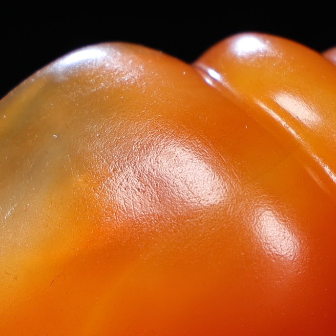 Orange Agate Statue - Conch - 8