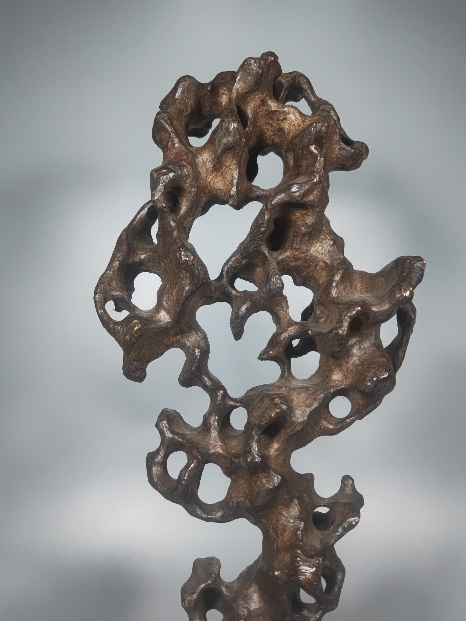 Natural Shape Taihu Stone Statue - 7