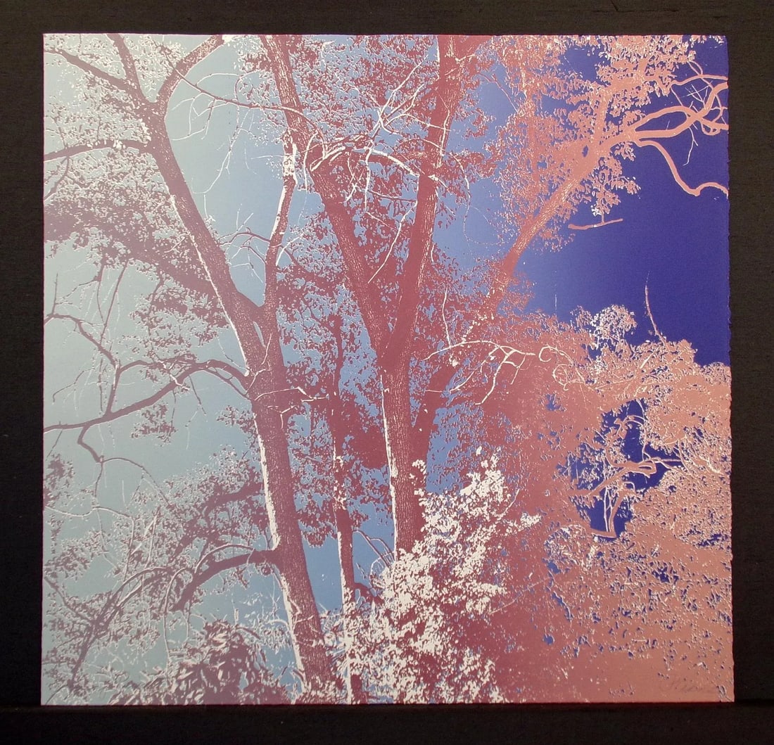 Paula Crane "Evening Prism I & Ii" Signed Diptych 2 Fine Art Etchings 1980s - 4