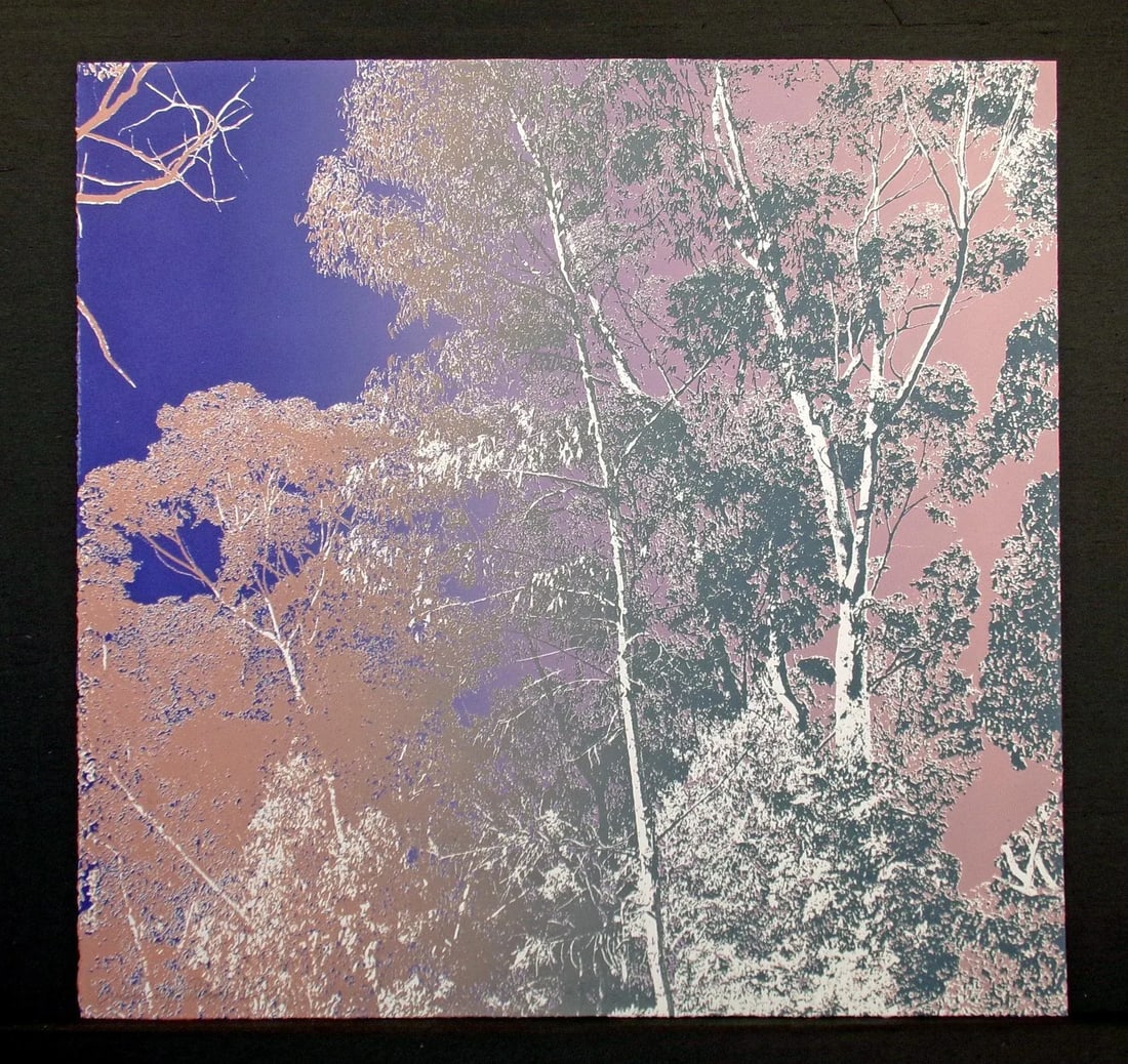 Paula Crane "Evening Prism I & Ii" Signed Diptych 2 Fine Art Etchings 1980s - 7