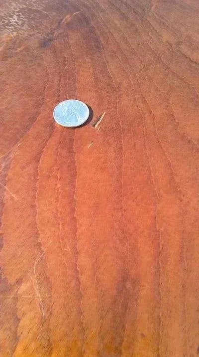 Federal Mahogany Hepplewhite Banquet Dining Table - 2