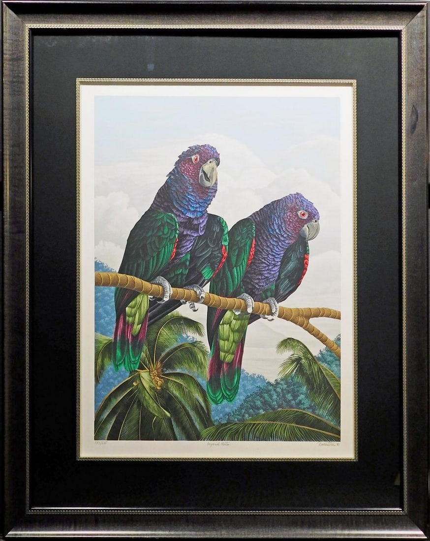 1980s Dallas John "Imperial Mates"Hand Signed Fine Art Serigraph Birds, Framed: Imperial Mates Original Limited Edition Framed Serigraph by Dallas John Signed, numbered & titled by artist Paper Size: 19" x 25" Frame Size: 32.5" x 38.5" Custom Frame Edition Number: 197/225