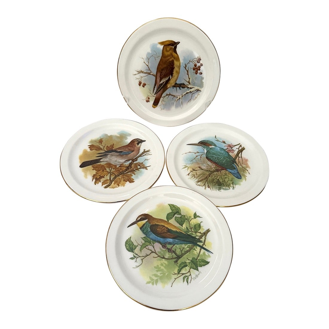 Vintage Royal Vale Bone China Bird Plates-Set of 4 (1 of 5)