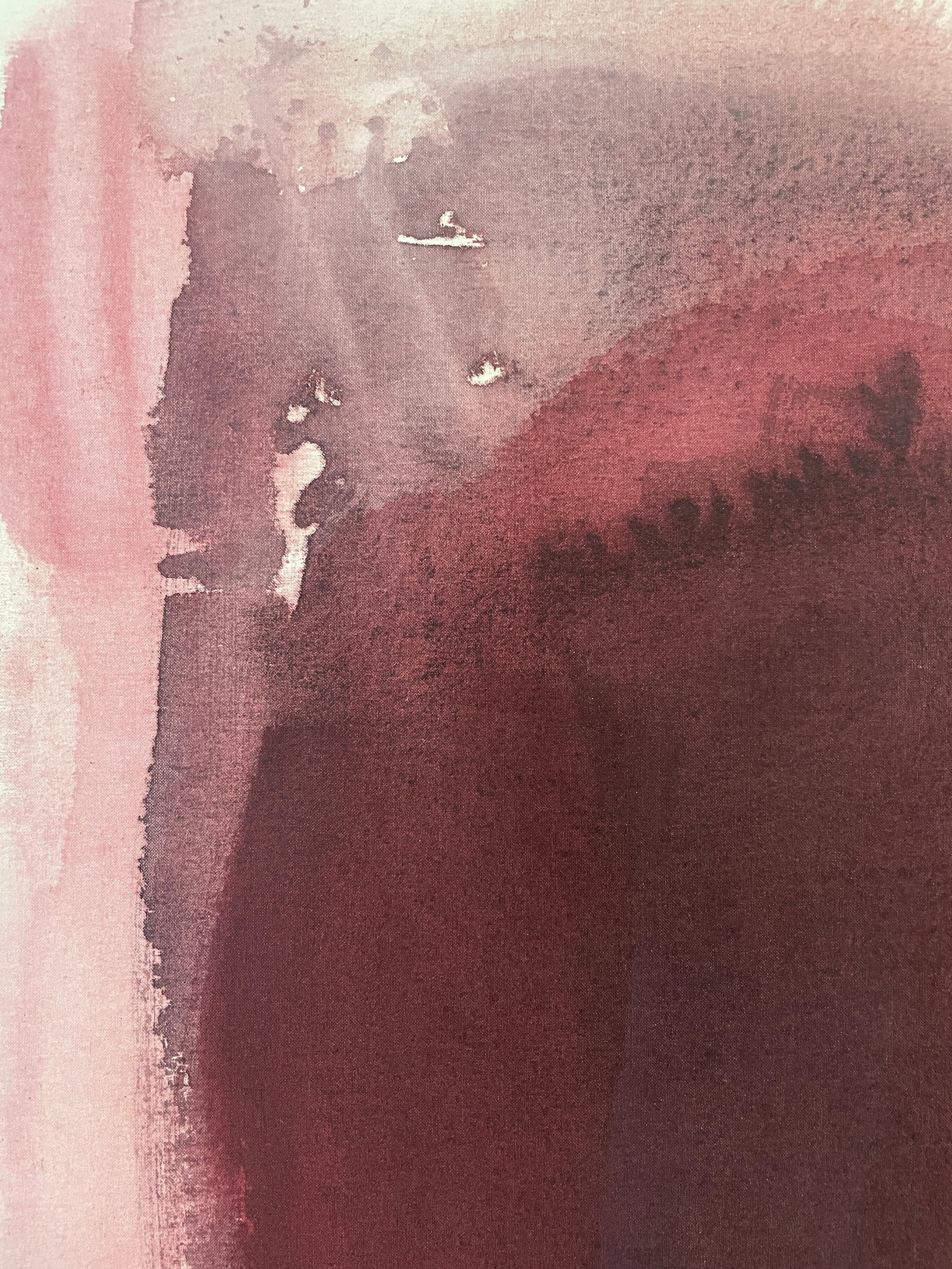 Madame (Wallflower Series) Original Color Field Painting - 7