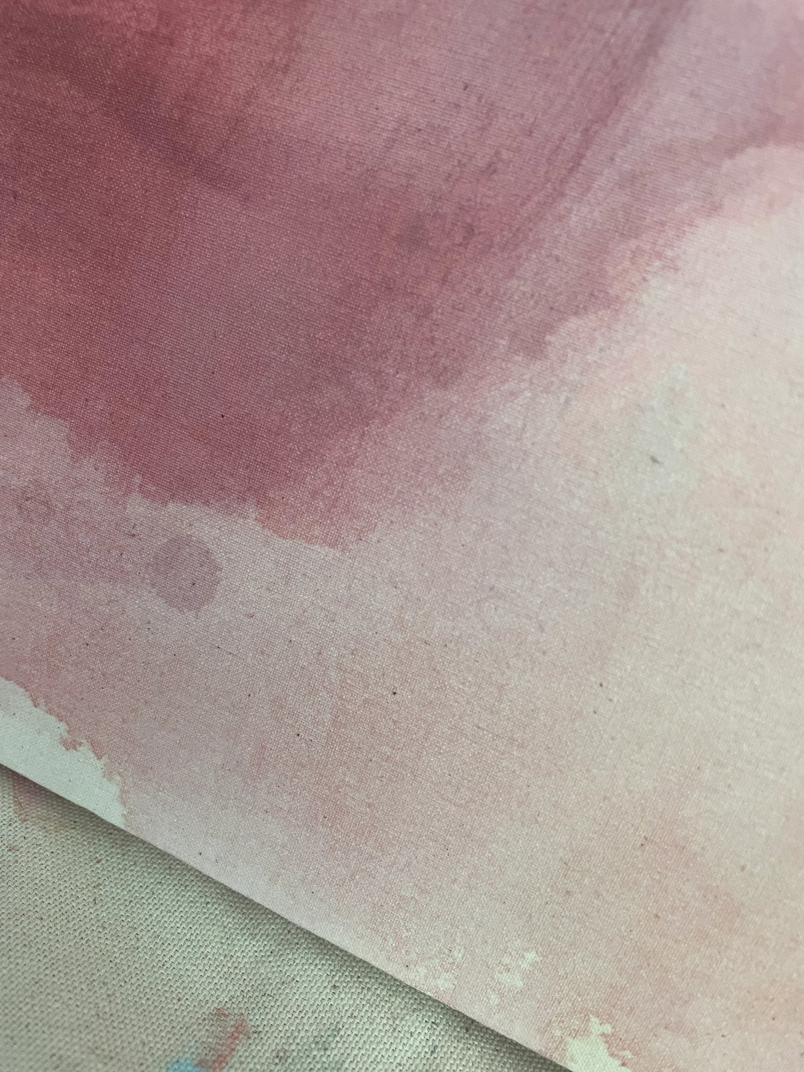 Madame (Wallflower Series) Original Color Field Painting - 9