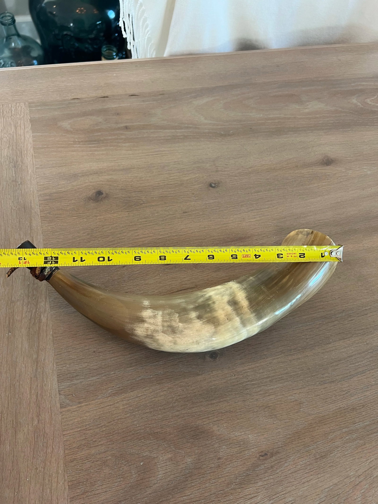 Antique Powder Horn - 10