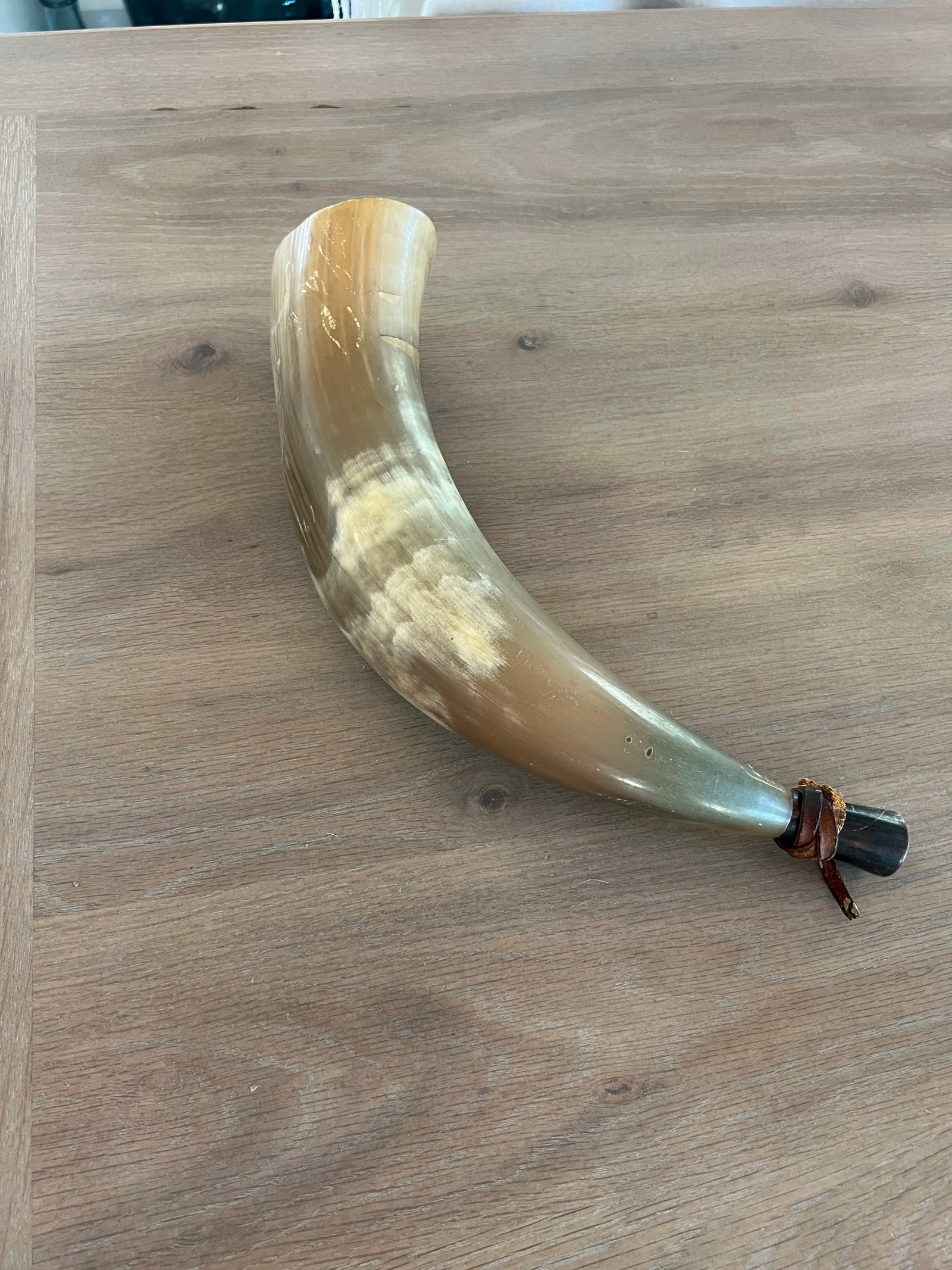 Antique Powder Horn - 2