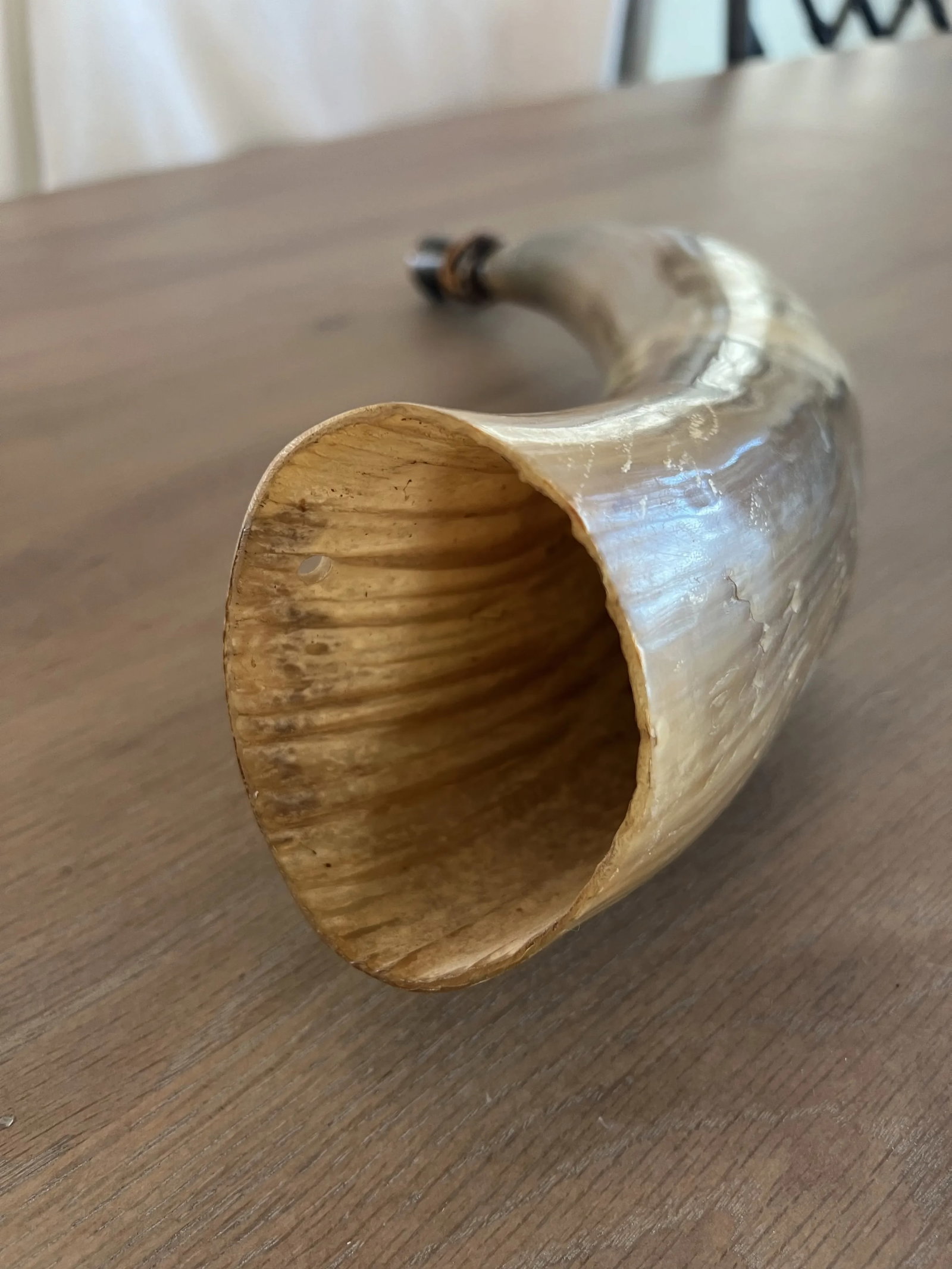 Antique Powder Horn - 3