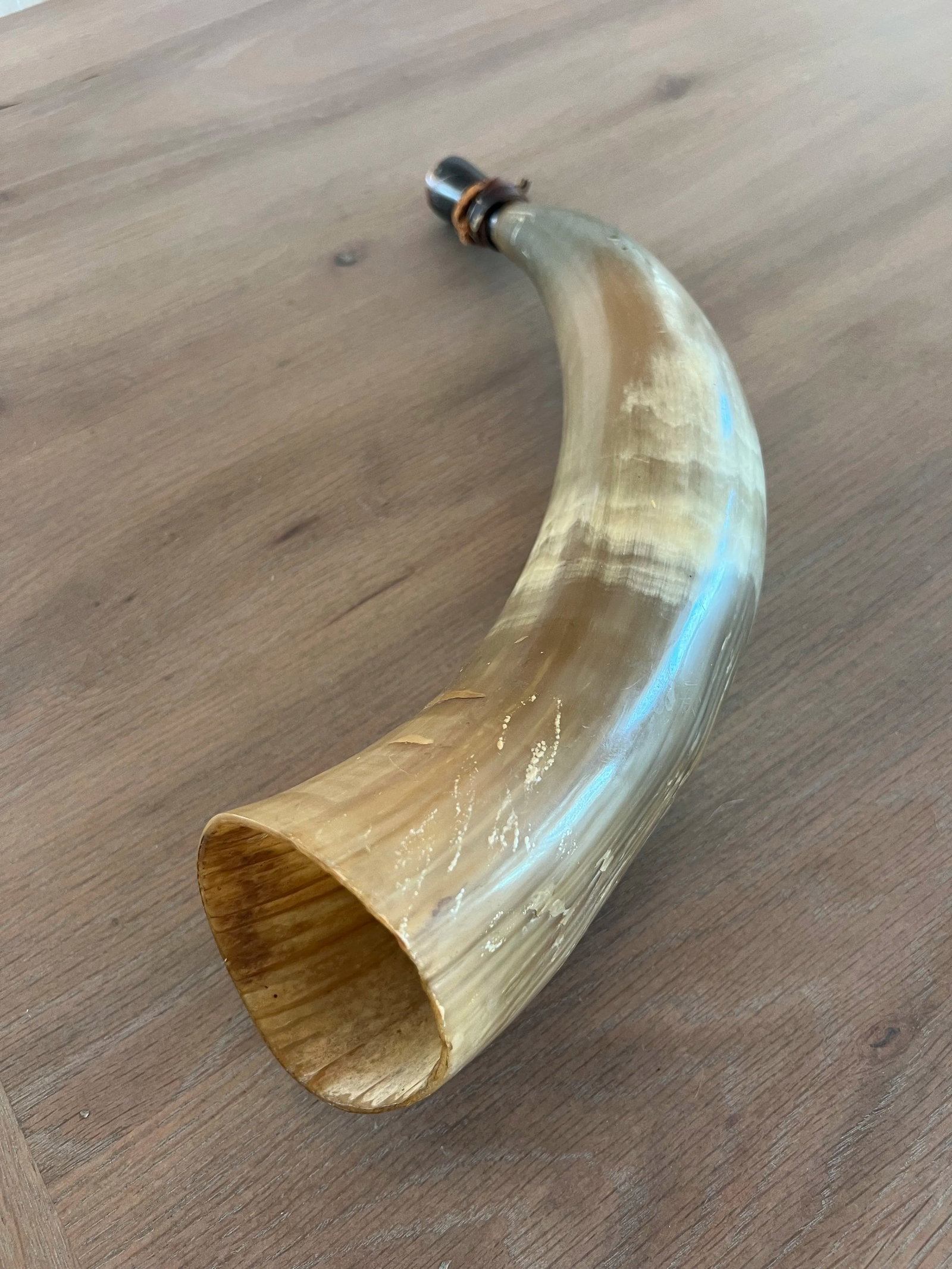 Antique Powder Horn - 4