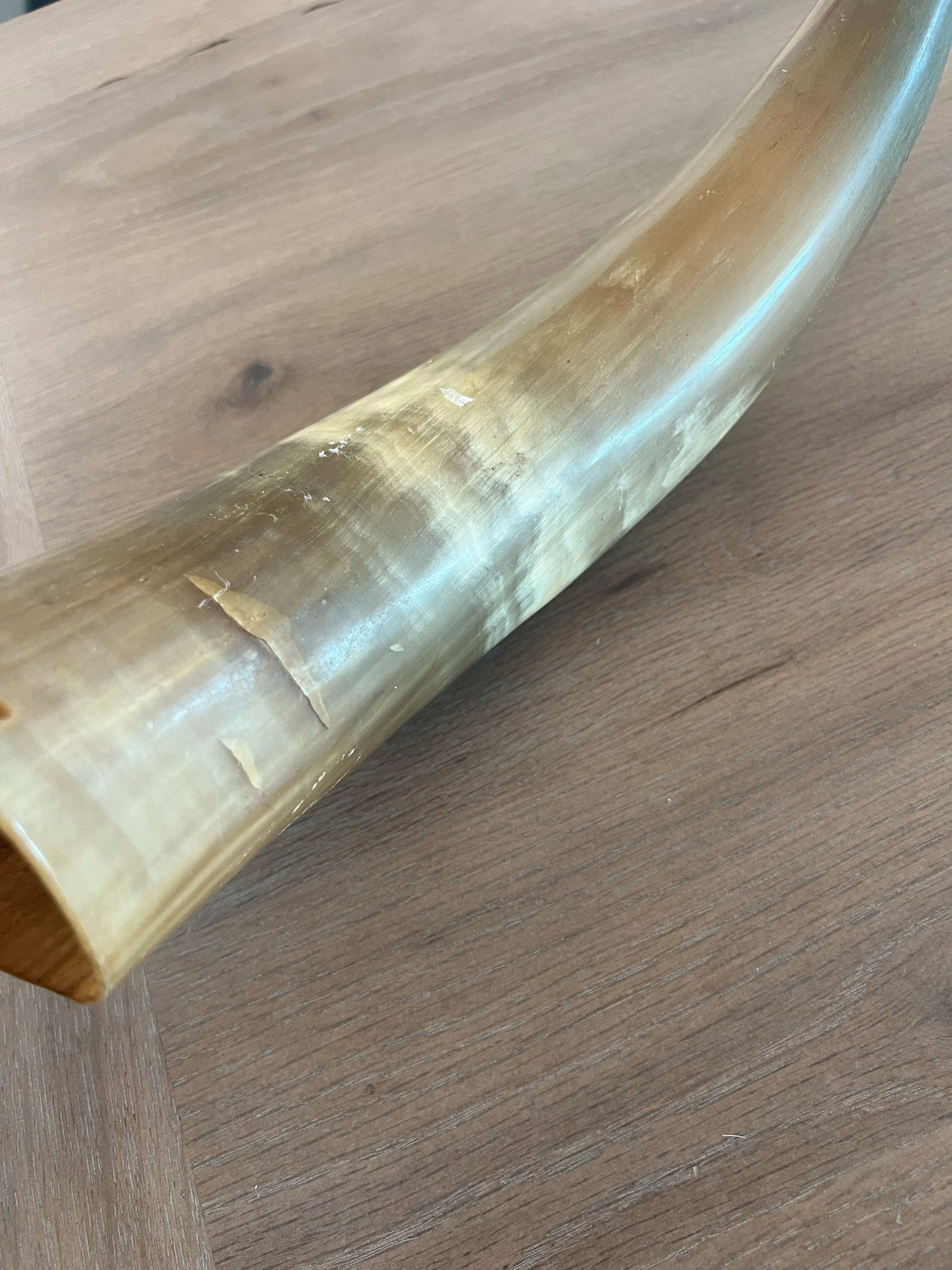 Antique Powder Horn - 7