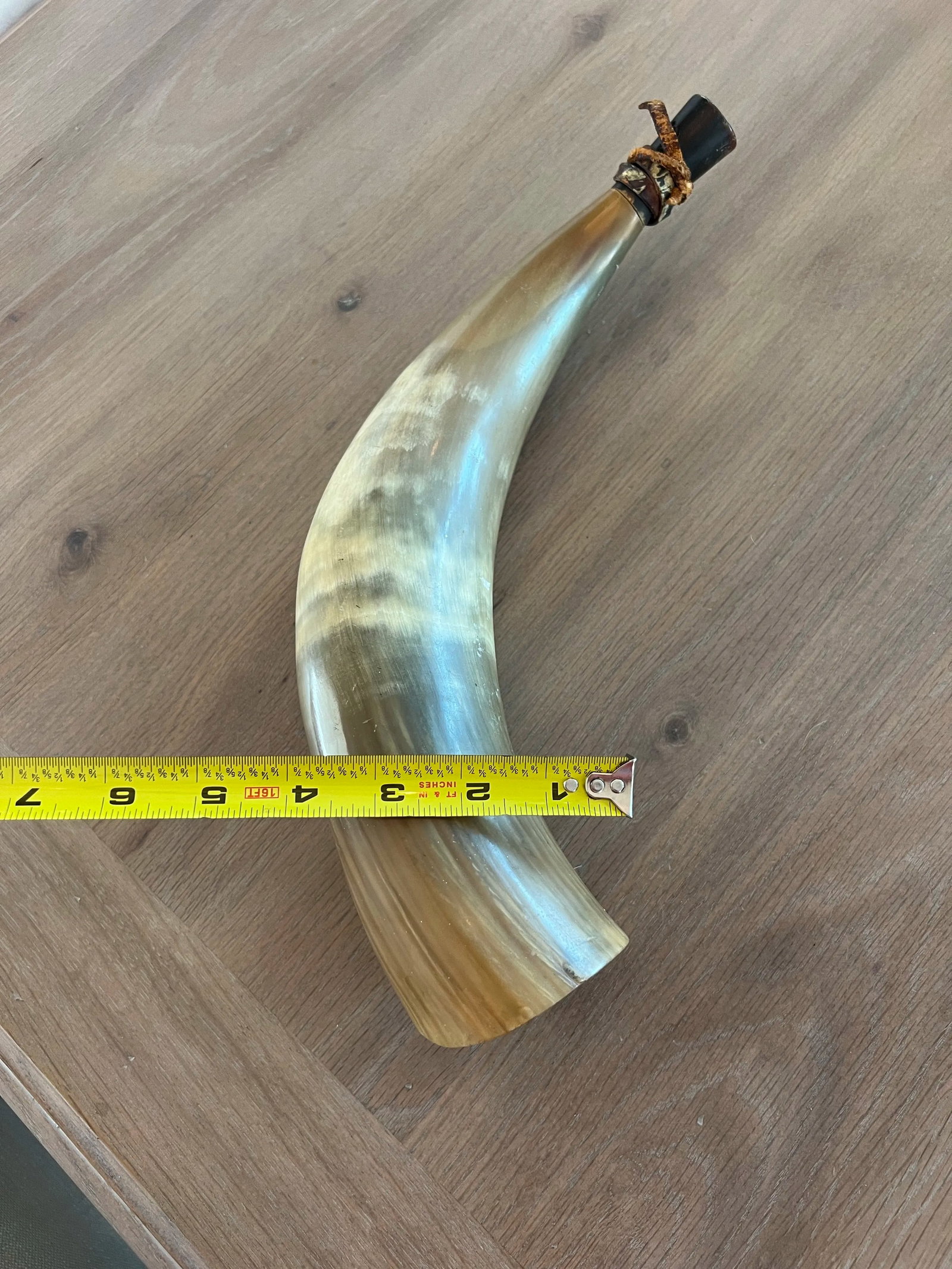 Antique Powder Horn - 8