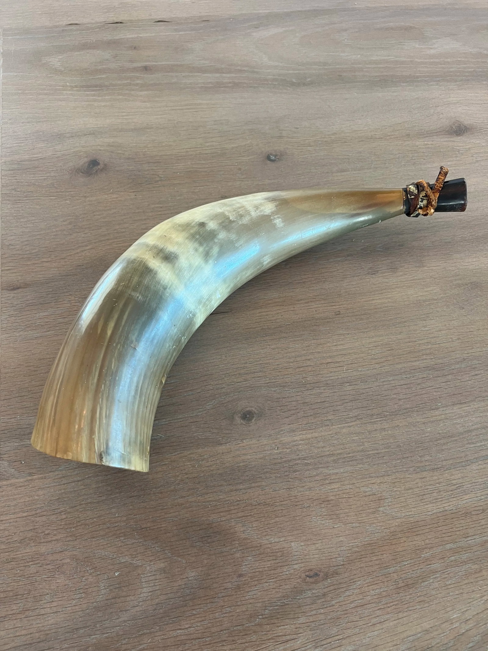 Antique Powder Horn - 9
