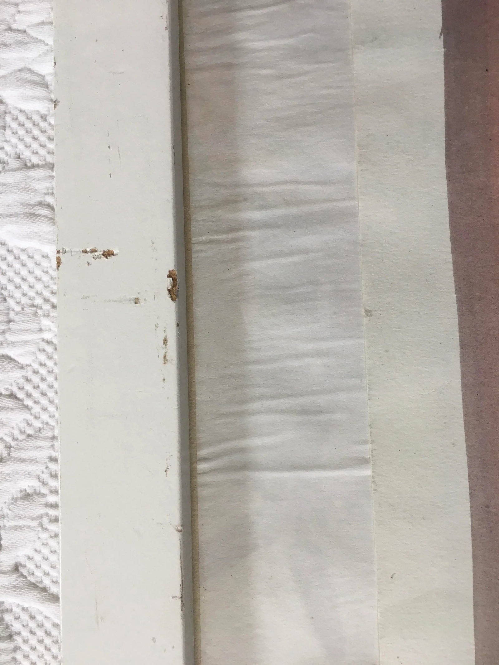 Salmon Painting by Peter Keil - 6