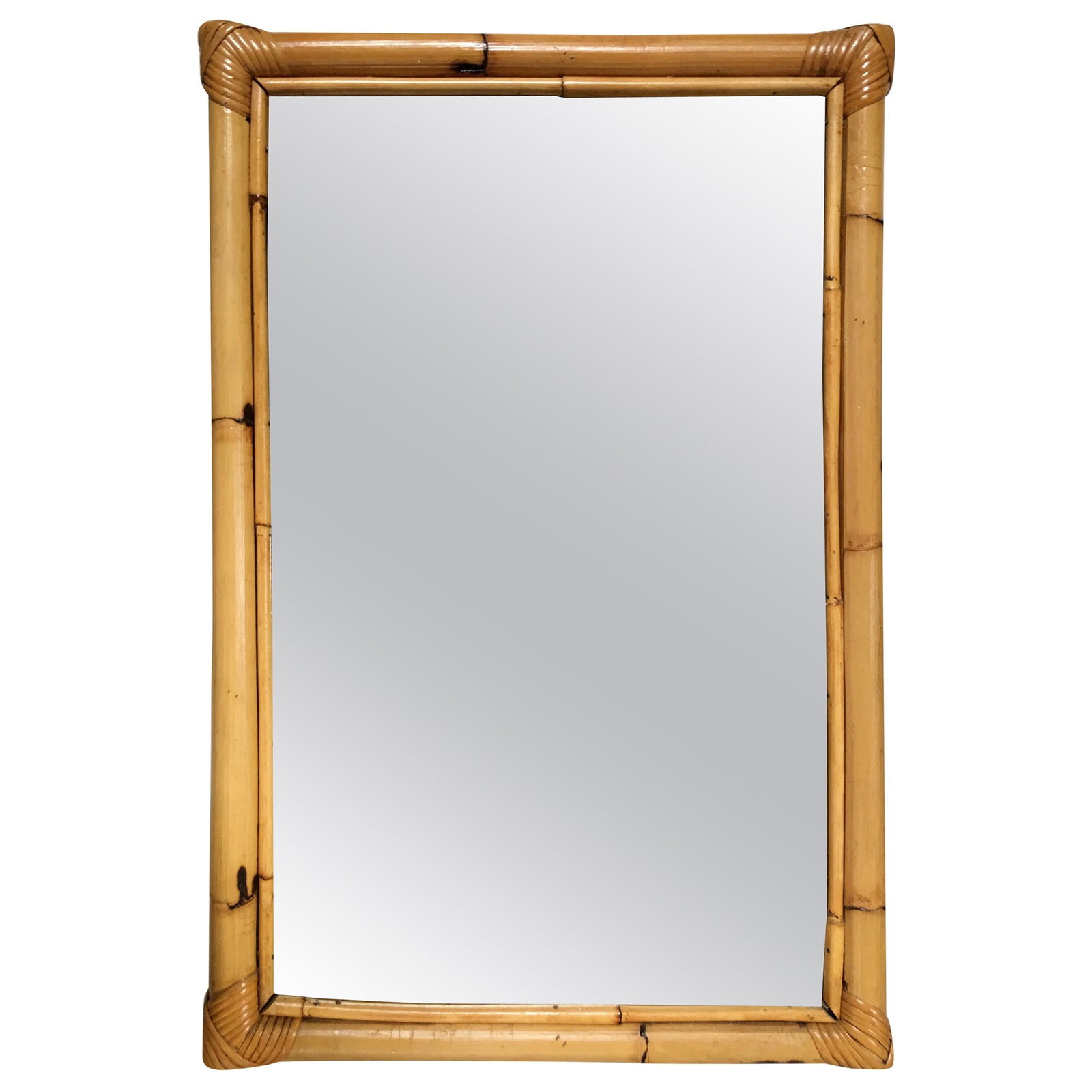 Two-Strand Rectangle Rattan Mirror with Stick Rattan Border (1 of 6)