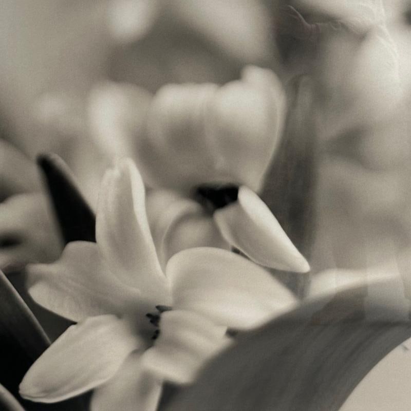 Modern, Large Black and White Photographs, Floral Still Life, Framed, 1990s - 11