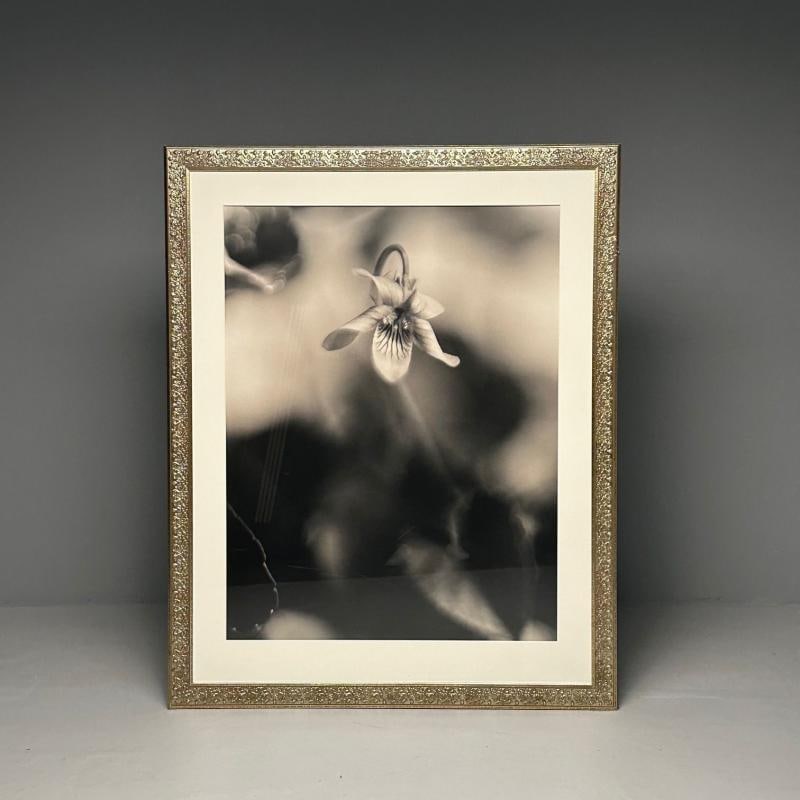 Modern, Large Black and White Photographs, Floral Still Life, Framed, 1990s - 3