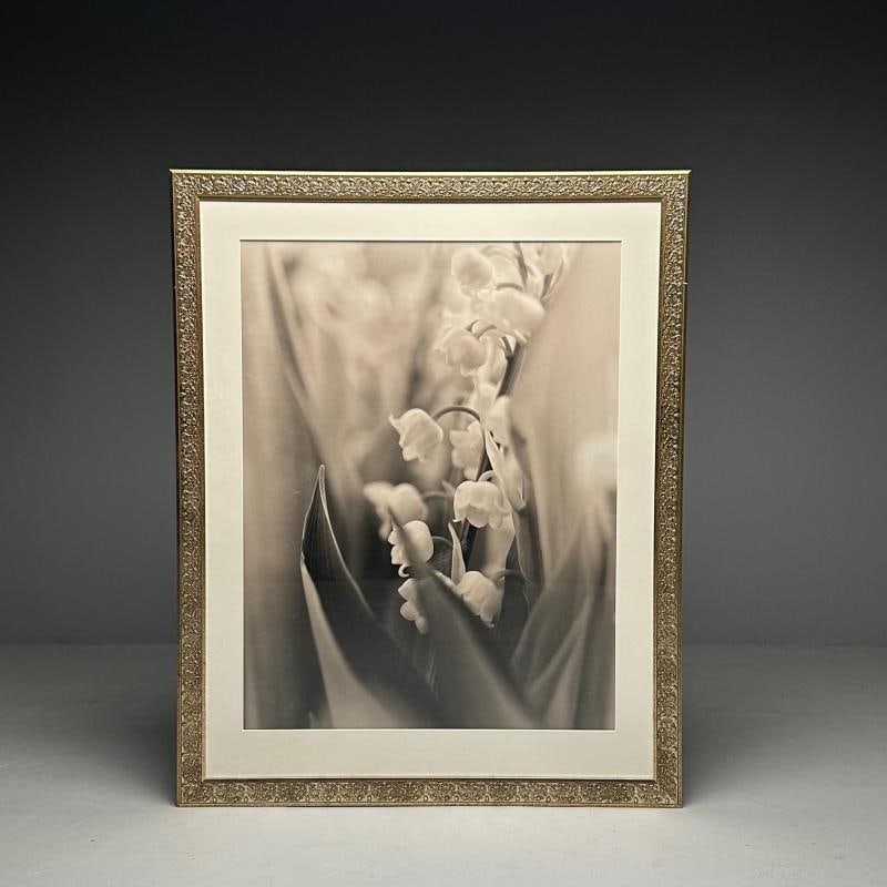 Modern, Large Black and White Photographs, Floral Still Life, Framed, 1990s - 4