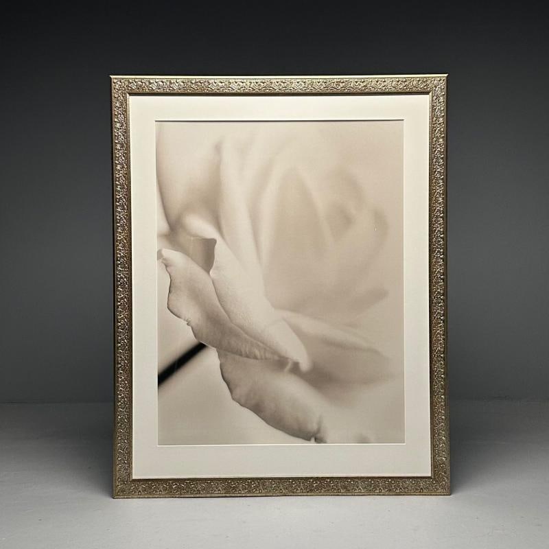Modern, Large Black and White Photographs, Floral Still Life, Framed, 1990s - 6