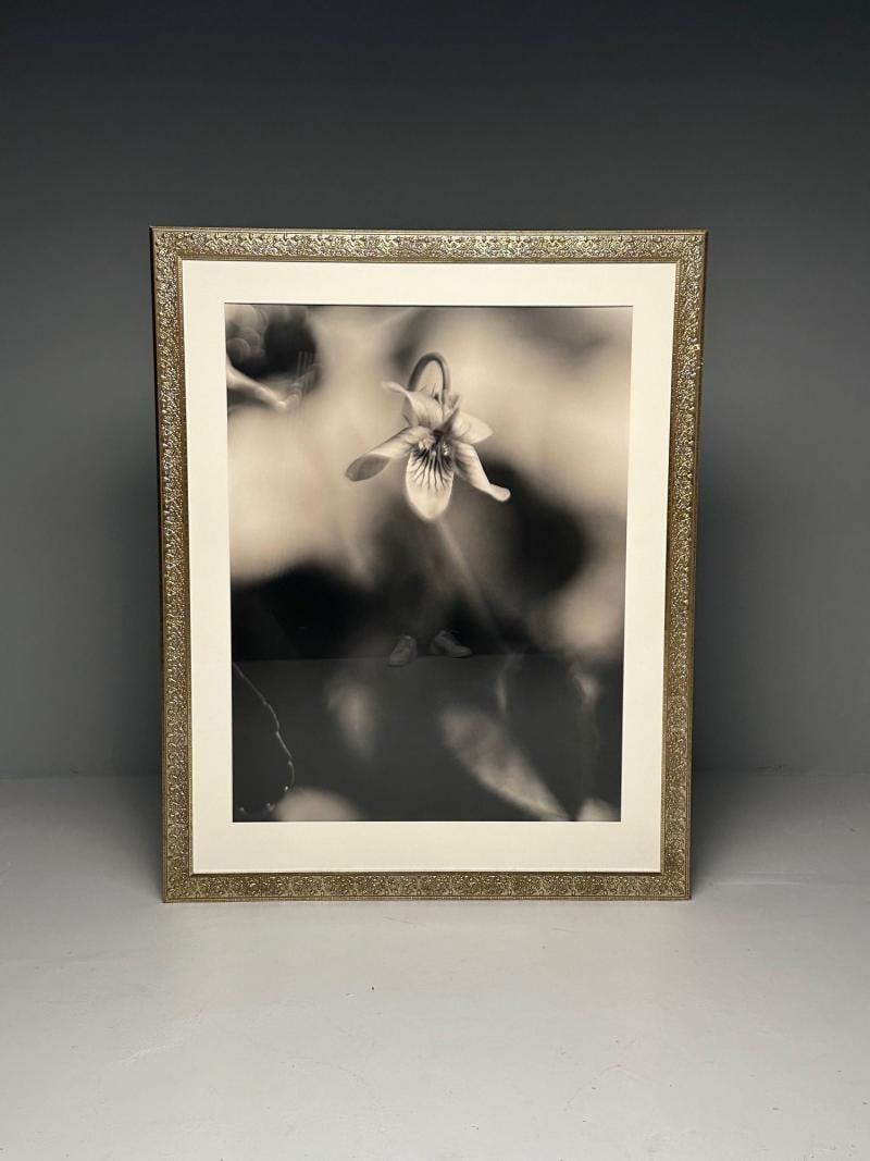 Modern, Large Black and White Photographs, Floral Still Life, Framed, 1990s - 8