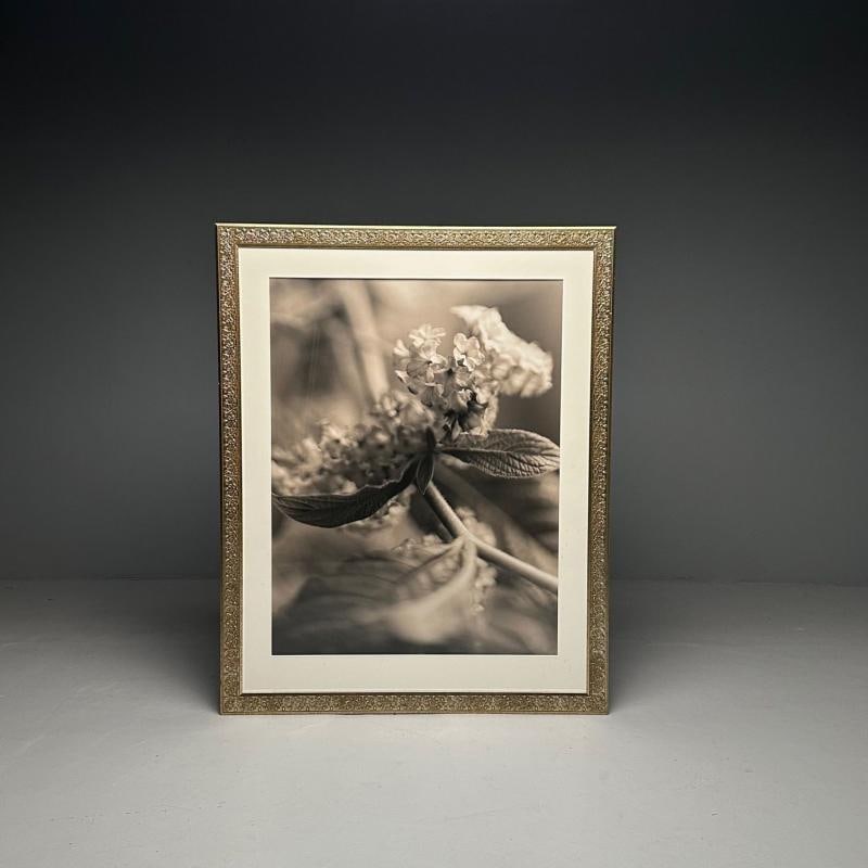 Modern, Large Black and White Photographs, Floral Still Life, Framed, 1990s - 9