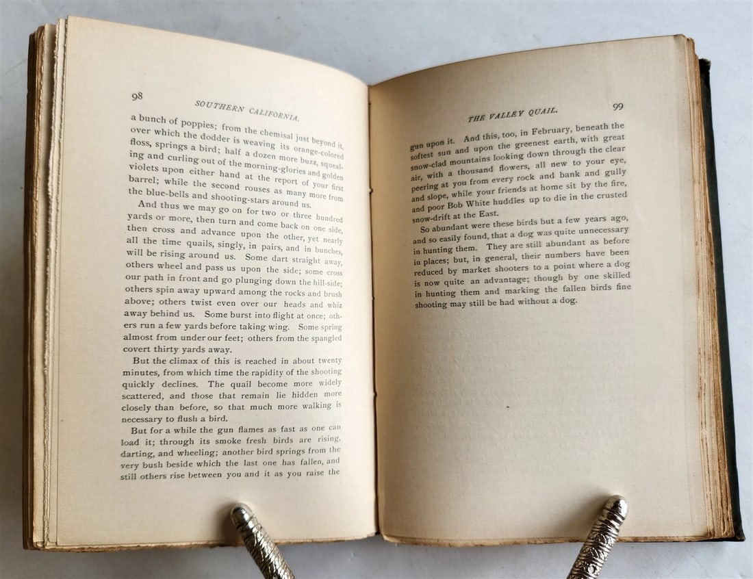 1886 SOUTHERN CALIFORNIA Its Valleys, Hills & Streams ANTIQUE Americana - 5