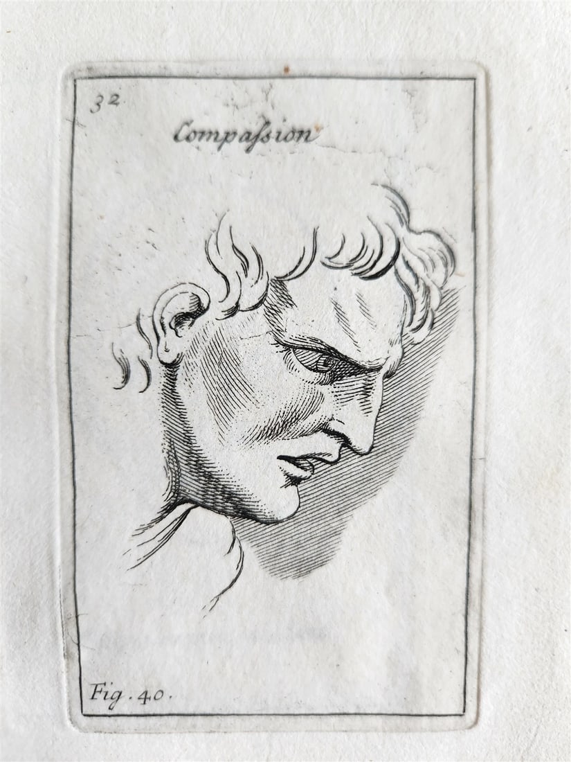 1703 ARTIST'S MANUAL by LE BRUN in DUTCH antique ILLUSTRATED PHYSIOGNOMY - 11