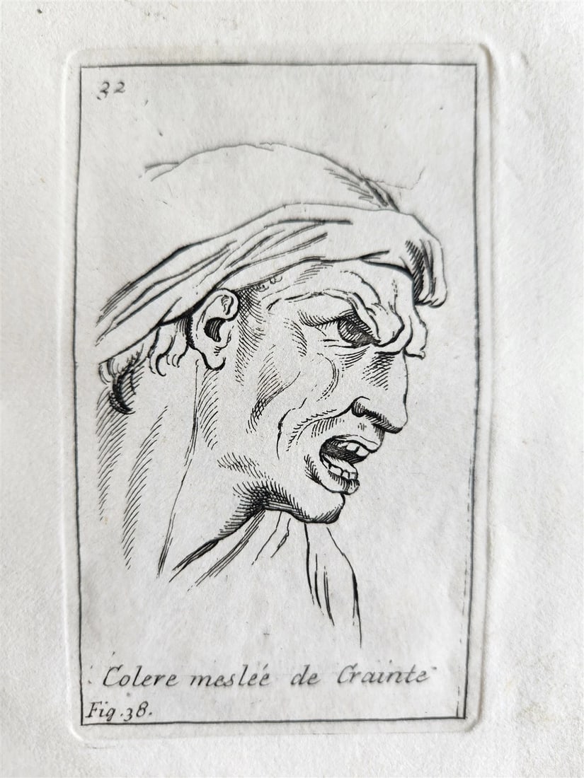 1703 ARTIST'S MANUAL by LE BRUN in DUTCH antique ILLUSTRATED PHYSIOGNOMY - 12