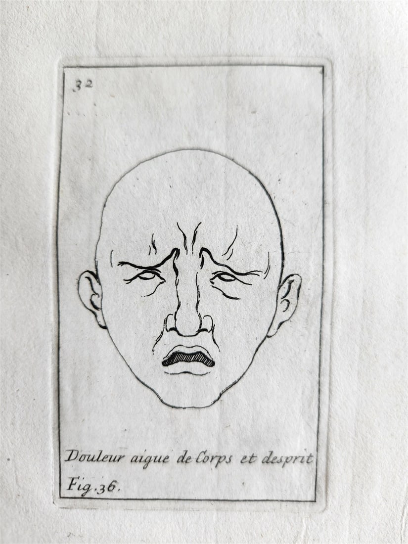 1703 ARTIST'S MANUAL by LE BRUN in DUTCH antique ILLUSTRATED PHYSIOGNOMY - 13