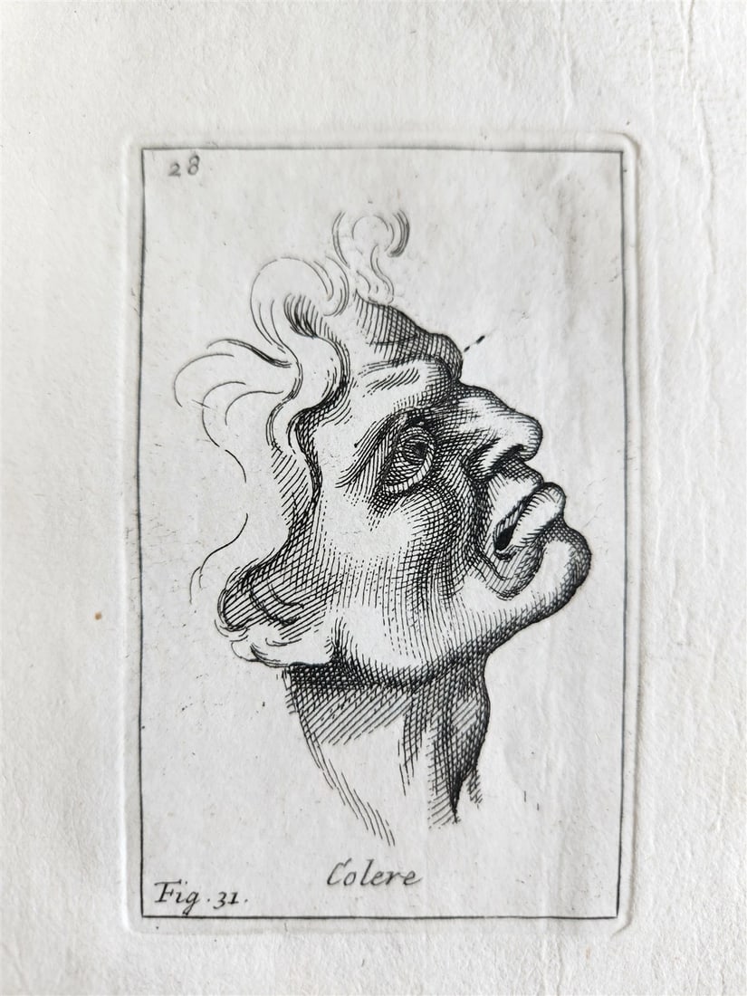 1703 ARTIST'S MANUAL by LE BRUN in DUTCH antique ILLUSTRATED PHYSIOGNOMY - 15