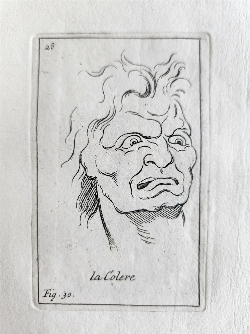 1703 ARTIST'S MANUAL by LE BRUN in DUTCH antique ILLUSTRATED PHYSIOGNOMY - 16
