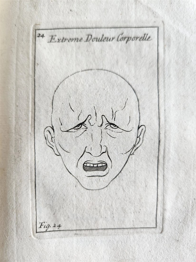 1703 ARTIST'S MANUAL by LE BRUN in DUTCH antique ILLUSTRATED PHYSIOGNOMY - 19