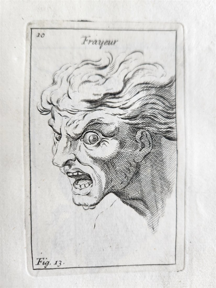 1703 ARTIST'S MANUAL by LE BRUN in DUTCH antique ILLUSTRATED PHYSIOGNOMY: Title: 1703 ARTIST'S MANUAL by LE BRUN in DUTCH antique ILLUSTRATED PHYSIOGNOMY Description: ARTIST'S MANUAL LE BRUN, Ch. Afbeelding der hertstogten, of middelen om dezelve volkomen te leeren afteeken