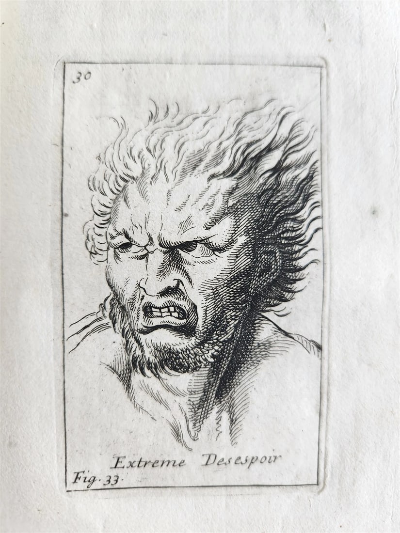 1703 ARTIST'S MANUAL by LE BRUN in DUTCH antique ILLUSTRATED PHYSIOGNOMY - 3