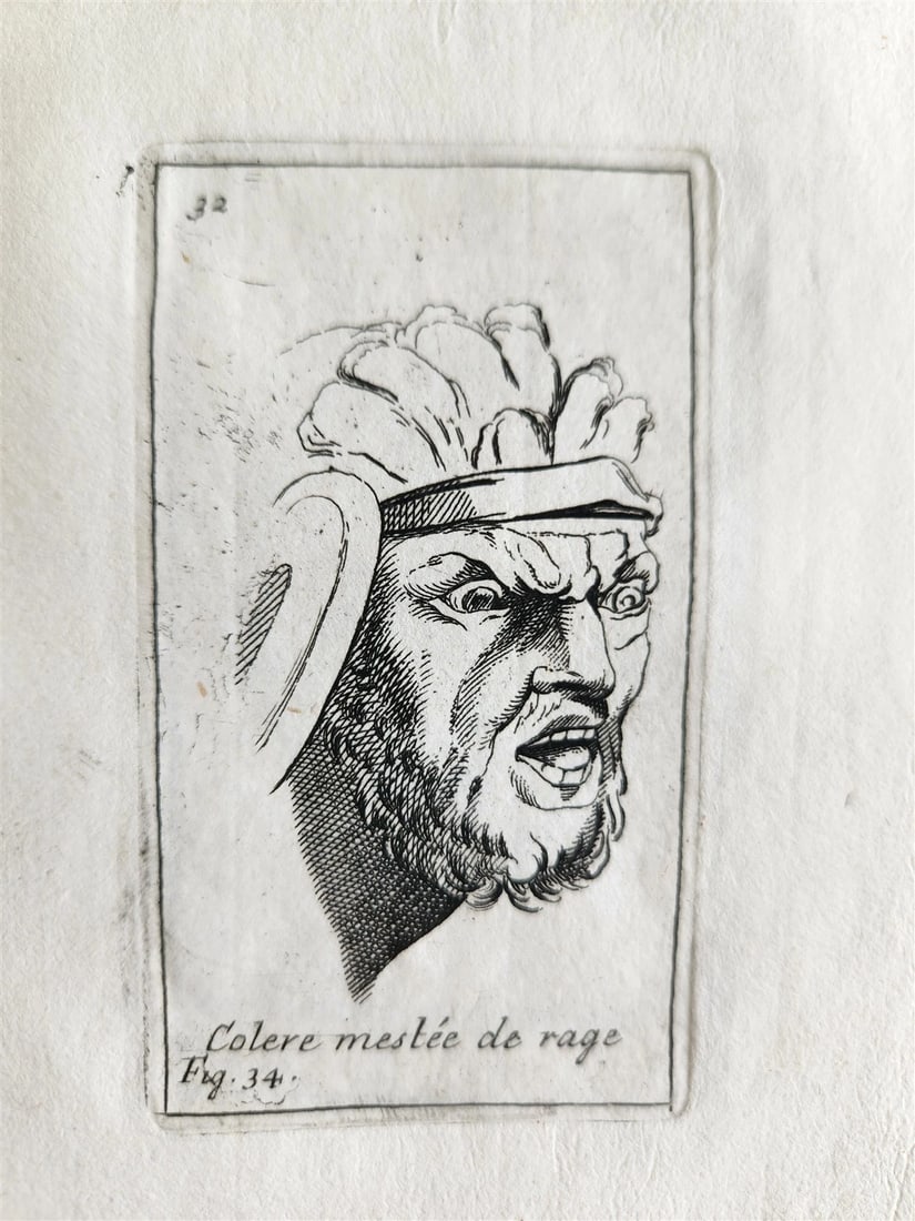 1703 ARTIST'S MANUAL by LE BRUN in DUTCH antique ILLUSTRATED PHYSIOGNOMY - 4