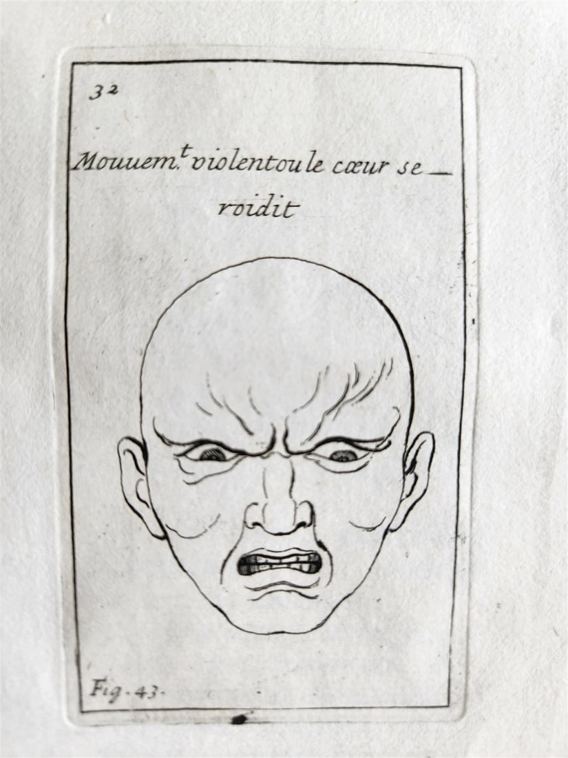 1703 ARTIST'S MANUAL by LE BRUN in DUTCH antique ILLUSTRATED PHYSIOGNOMY - 6