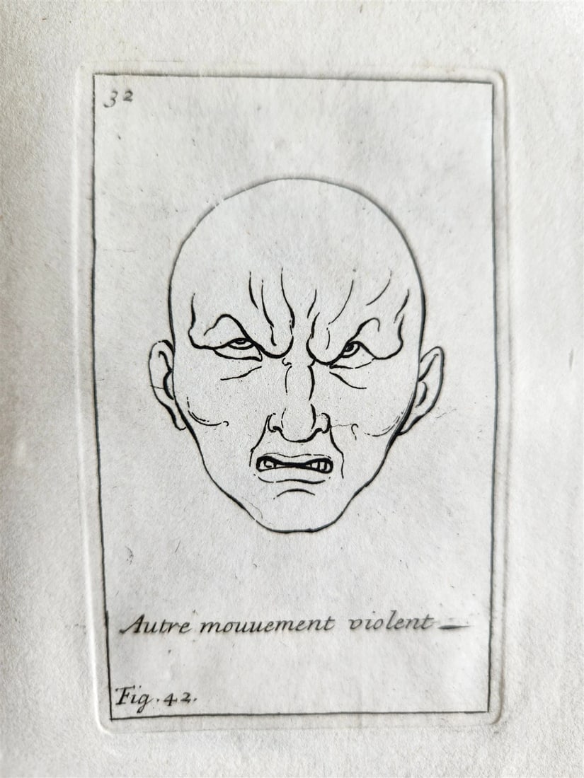 1703 ARTIST'S MANUAL by LE BRUN in DUTCH antique ILLUSTRATED PHYSIOGNOMY - 8