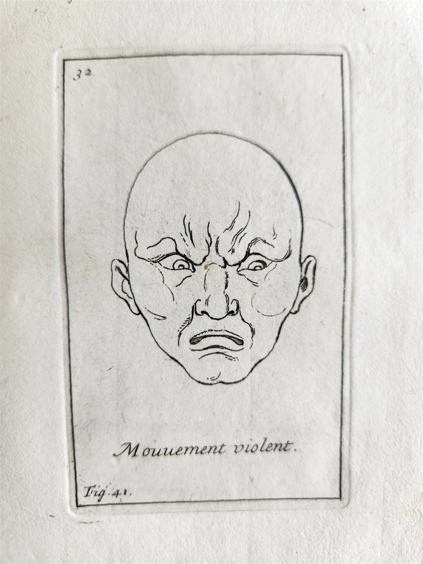 1703 ARTIST'S MANUAL by LE BRUN in DUTCH antique ILLUSTRATED PHYSIOGNOMY - 9