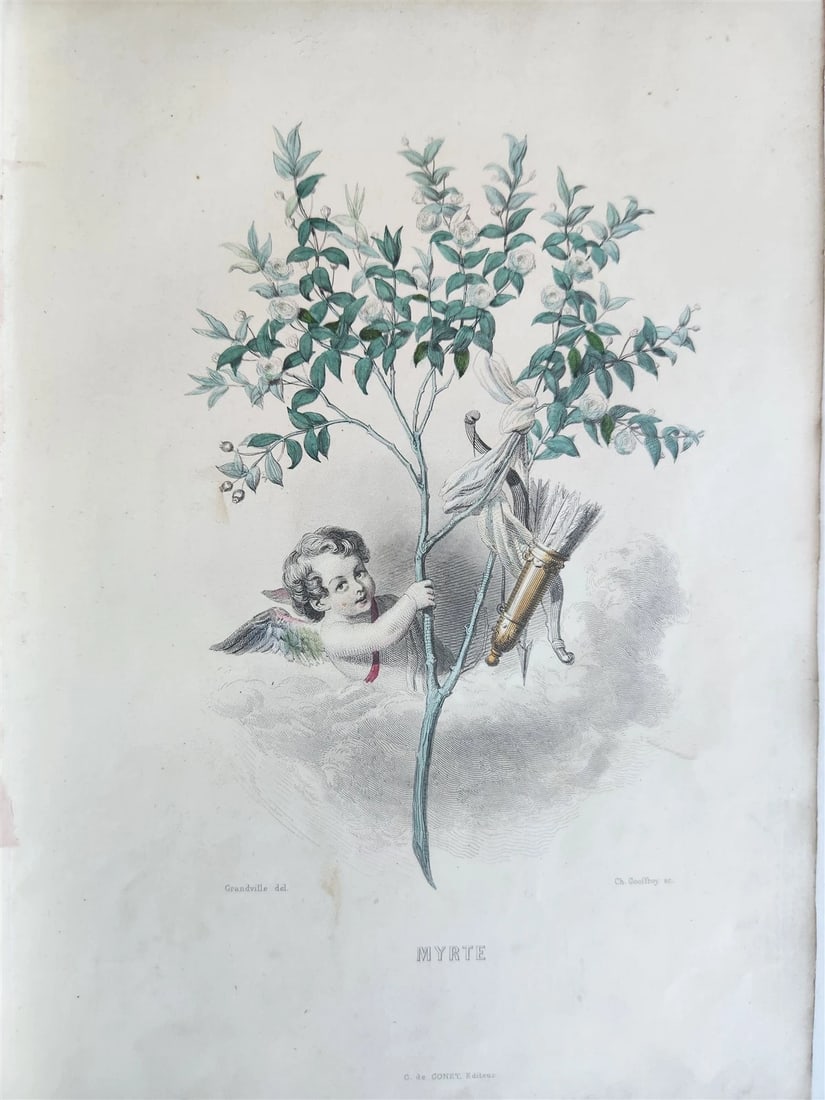 1847 LES FLEURS ANIMEES antique ILLUSTRATED with WOMEN PERSONIFYING FLOWERS - 10