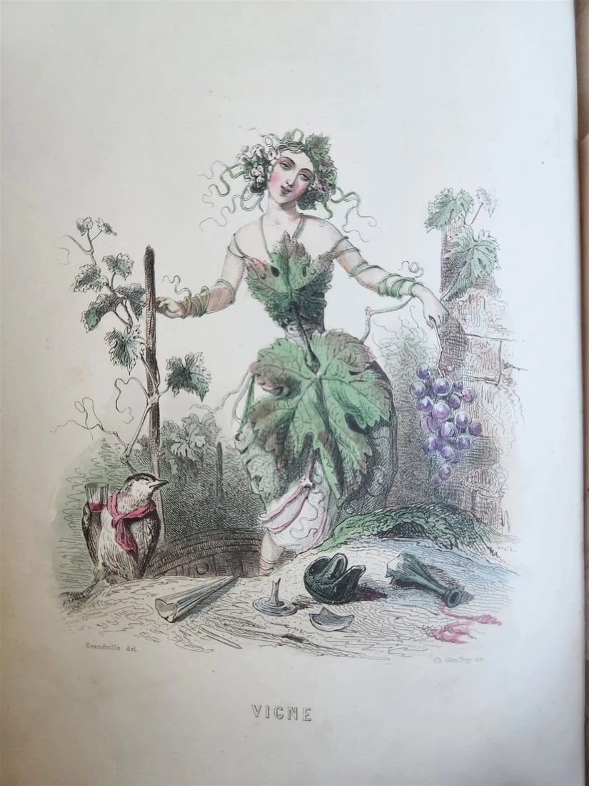 1847 LES FLEURS ANIMEES antique ILLUSTRATED with WOMEN PERSONIFYING FLOWERS - 11