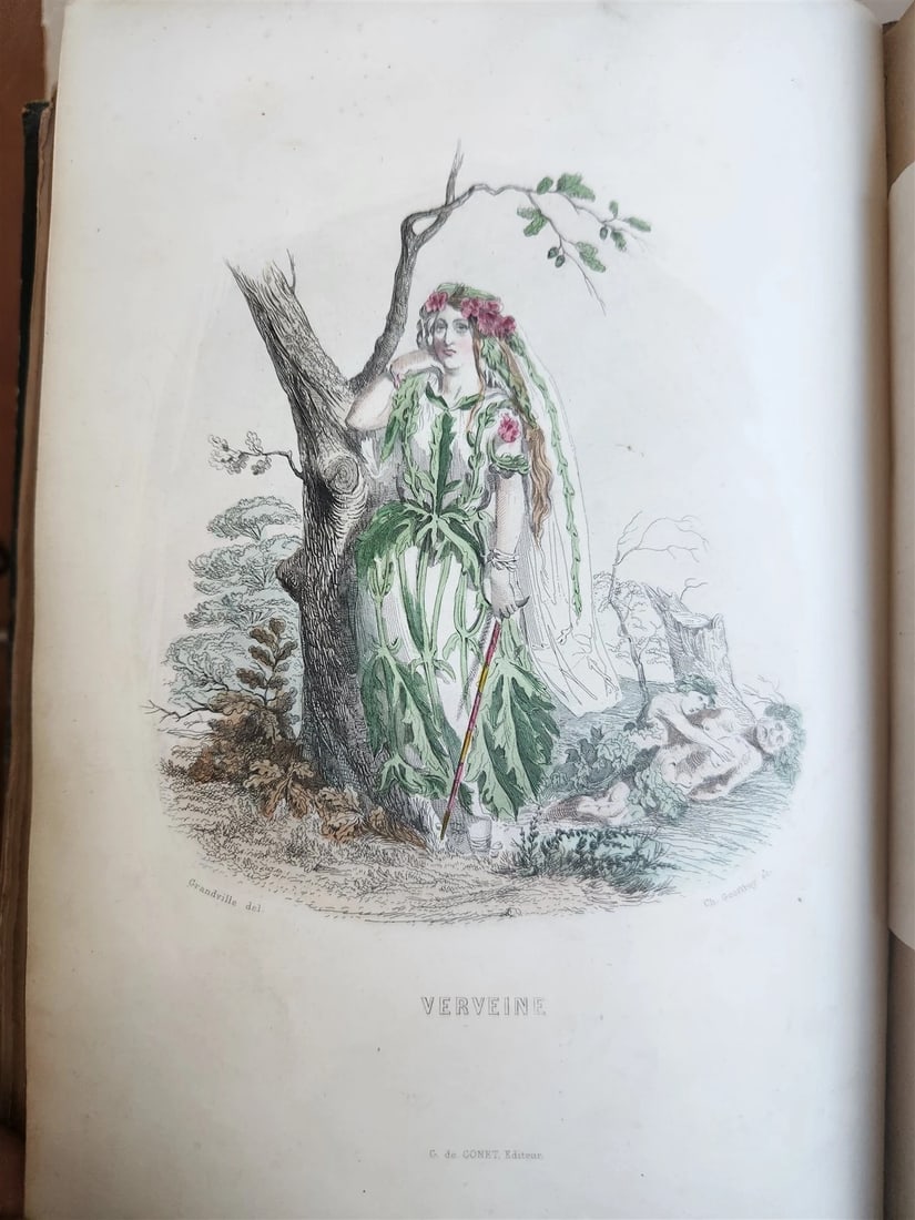 1847 LES FLEURS ANIMEES antique ILLUSTRATED with WOMEN PERSONIFYING FLOWERS - 17