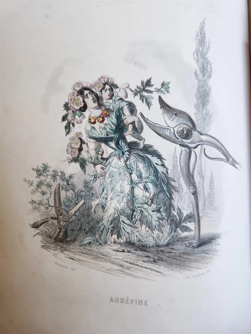 1847 LES FLEURS ANIMEES antique ILLUSTRATED with WOMEN PERSONIFYING FLOWERS - 20