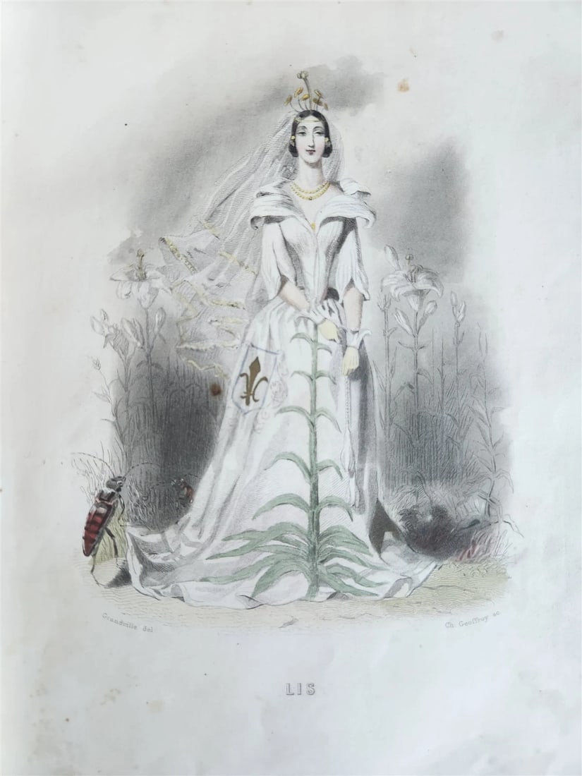 1847 LES FLEURS ANIMEES antique ILLUSTRATED with WOMEN PERSONIFYING FLOWERS - 3