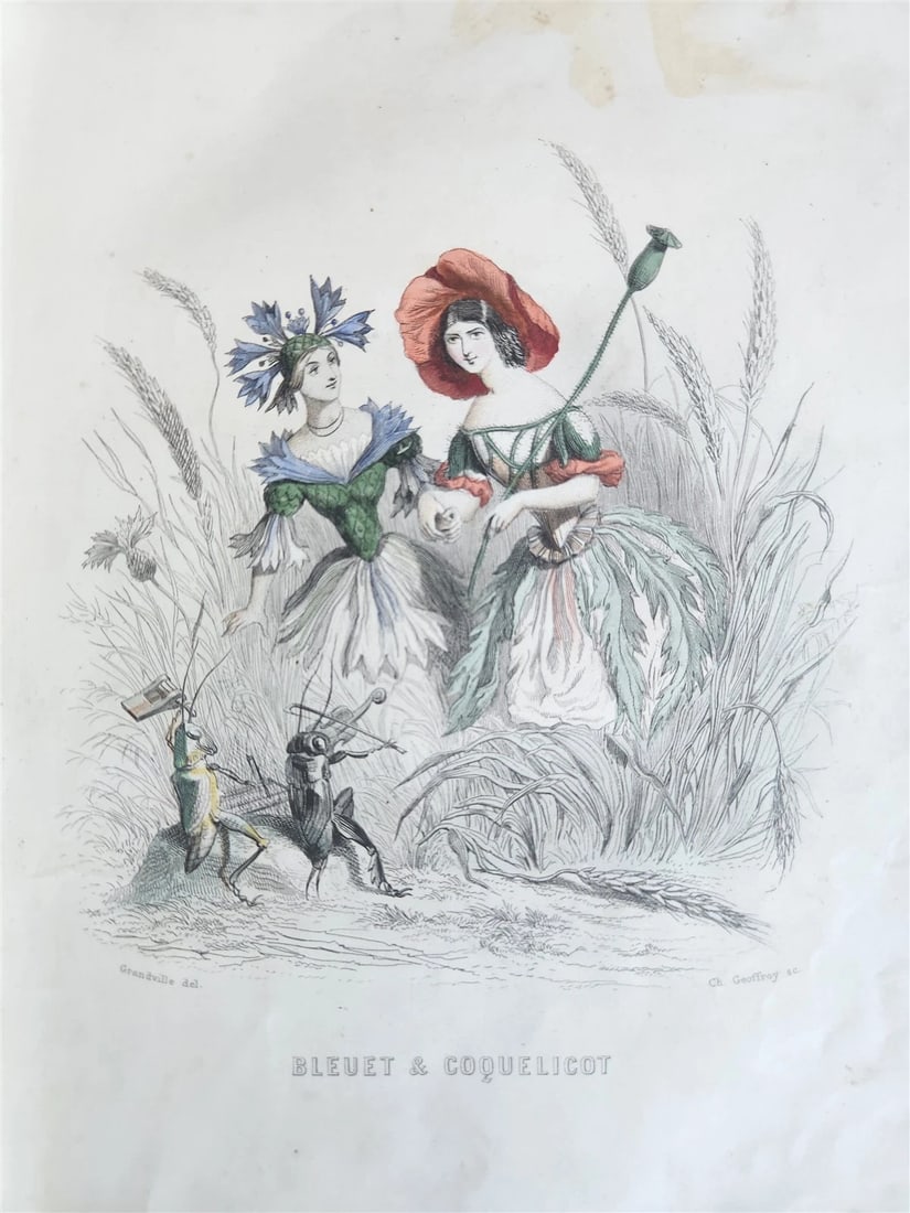 1847 LES FLEURS ANIMEES antique ILLUSTRATED with WOMEN PERSONIFYING FLOWERS - 4