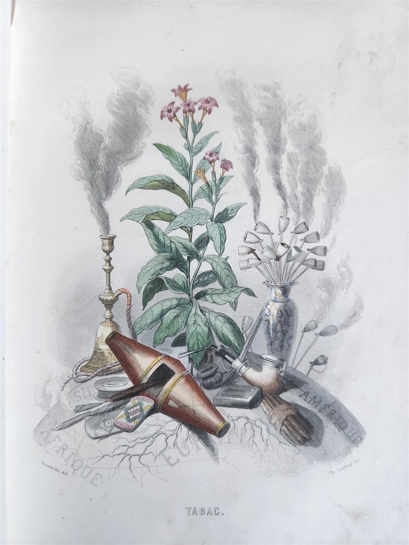 1847 LES FLEURS ANIMEES antique ILLUSTRATED with WOMEN PERSONIFYING FLOWERS - 5