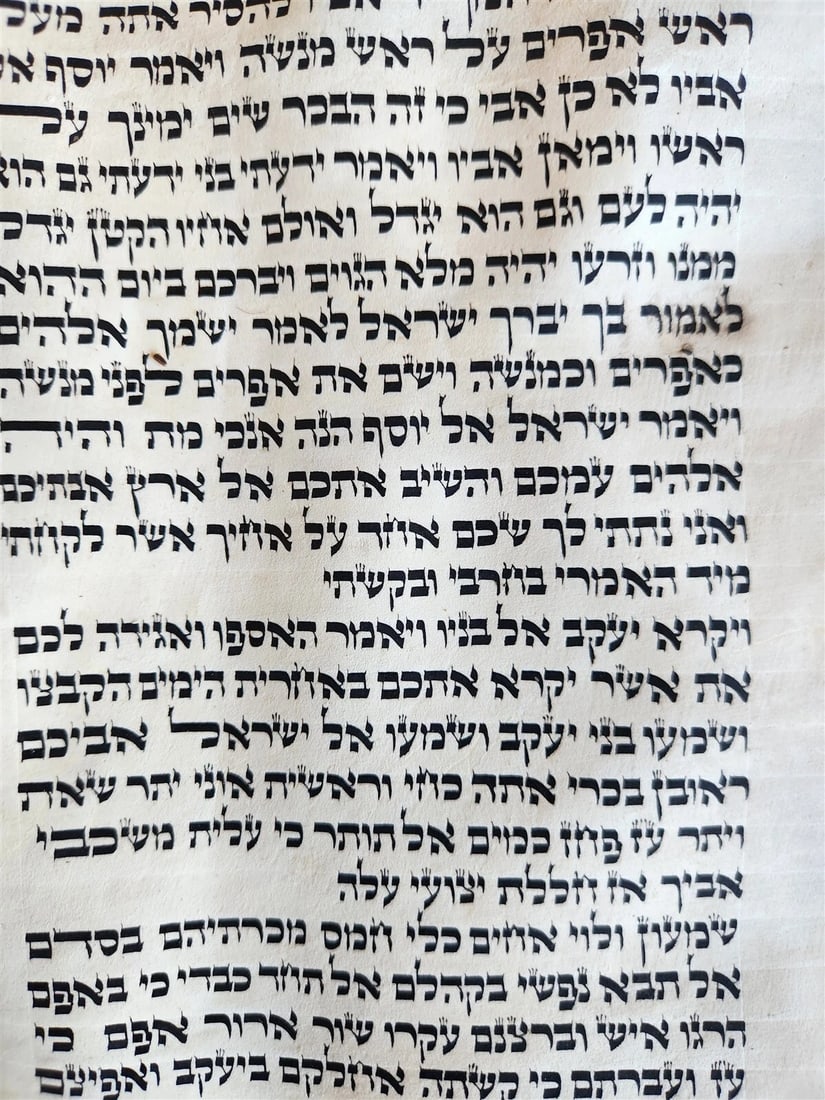 TORAH SCROLL FRAGMENT MANUSCRIPT on VELLUM antique BIBLE DEUTERONOMY 11:4-13:12 - 10