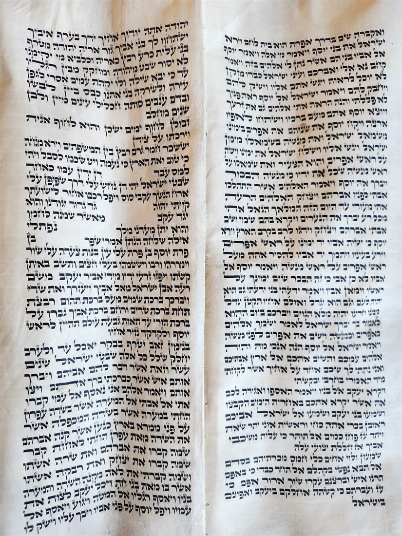 TORAH SCROLL FRAGMENT MANUSCRIPT on VELLUM antique BIBLE DEUTERONOMY 11:4-13:12 - 11